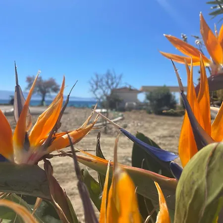 Quattro Scogli Villaggio 3*