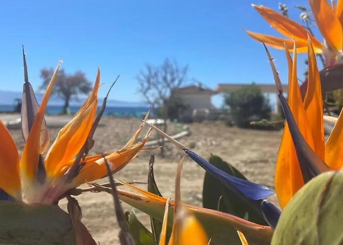 Villaggio Quattro Scogli 3*